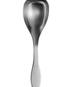 Budget 😀 IITTALA Collective Tools Large Serving Spoon 👍