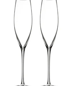 Deals โ๏ธ Waterford Elegance Champagne Set of 2 Wine Glass โจ