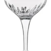 Cheapest 🎉 Luigi Bormioli Set of 4 225ml Cocktail Glass ✨