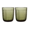 Budget ⌛ IITTALA Raami Set of 2 Tumbler Moss Green ⌛