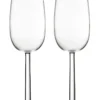 Cheapest ❤️ IITTALA Raami Set of 2 Champagne Glass 🛒