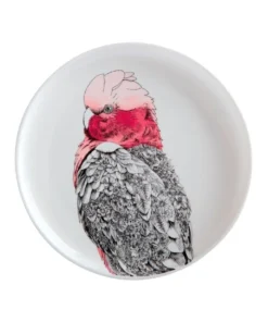 Coupon 🌟 Maxwell & Williams Marini Ferlazzo Birds Galah 20cm Gift Boxed Plate ⭐