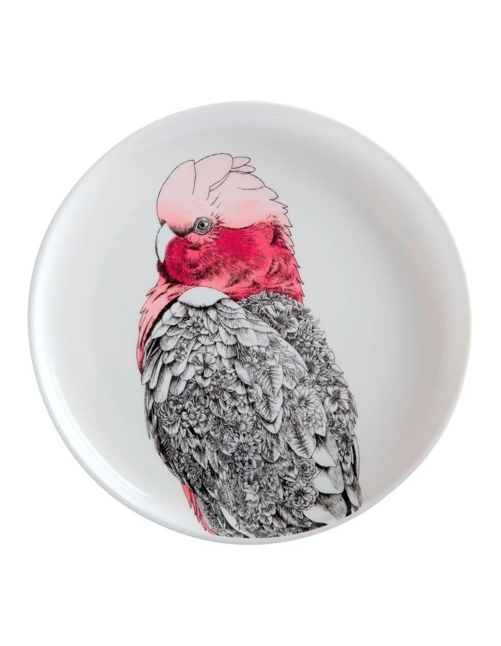 Coupon π Maxwell & Williams Marini Ferlazzo Birds Galah 20cm Gift Boxed Plate β 1 Coupon π Maxwell & Williams Marini Ferlazzo Birds Galah 20cm Gift Boxed Plate β