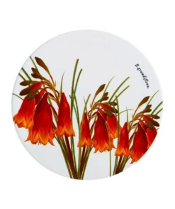 Discount 👍 Maxwell & Williams Royal Botanic Garden Ceramic 20cm Bells Round Trivet 💯