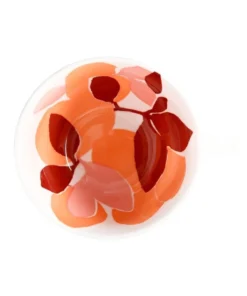 Budget 😀 Maxwell & Williams Andalusia Fruit 540ml Jumbo Mug Apricot ❤️ -Dining Sales Store 814033450 3 720x928