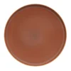 Buy 🔥 Salt&Pepper Hue 27.5cm Dinner Plate Rust 🎉