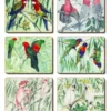 Cheapest ⭐ Cinnamon Australian Parrots Set of 6 Coasters 💯