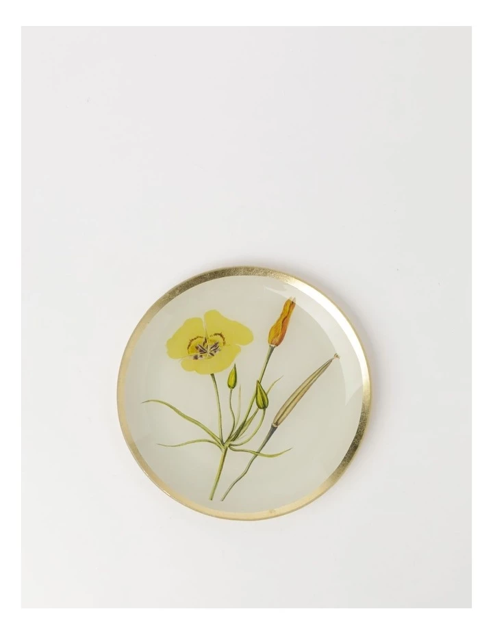 Top 10 β Heritage Clementine Flower Glass Trinket Dishes 3 Pack in Multi π 4 Top 10 β Heritage Clementine Flower Glass Trinket Dishes 3 Pack in Multi π - Image 4