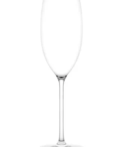 Brand new 😉 Plumm Vintage 2pc Sparkling Wine Glass Set ✔️